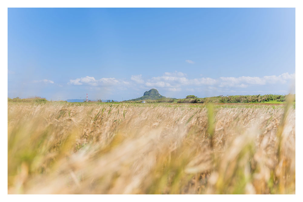 伊江島