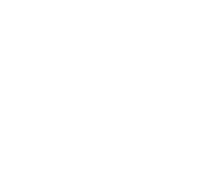 夏限定