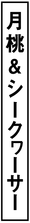 月桃とシークヮーサー使用