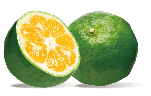 カーブチーのイメージ