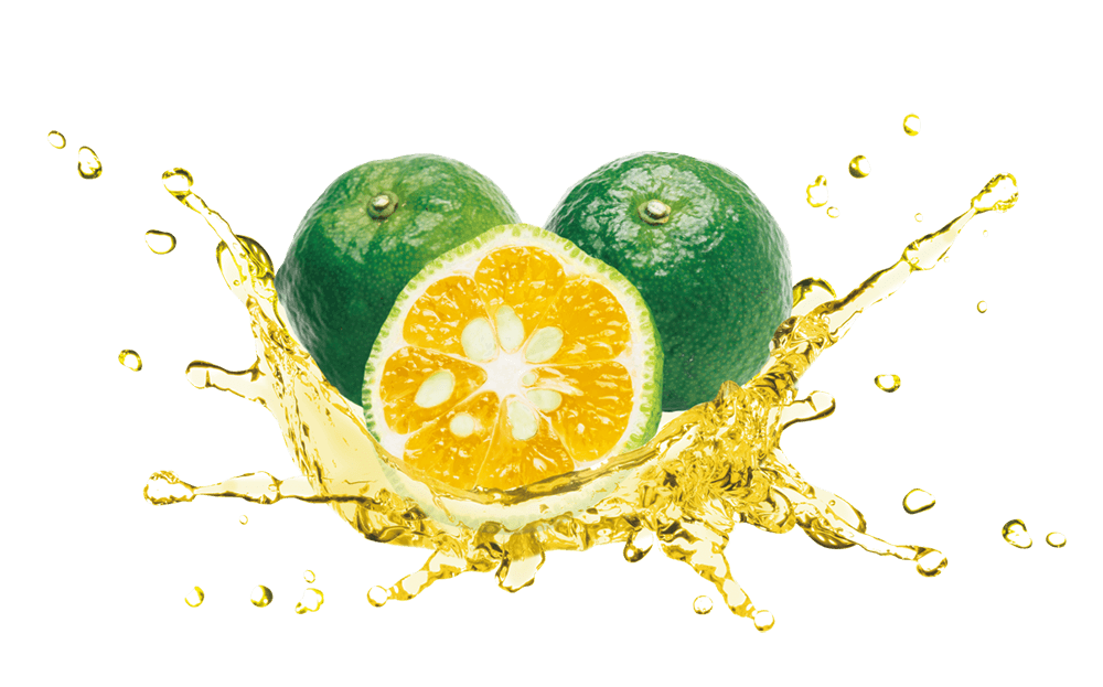 みずみずしいカーブチーのイメージ