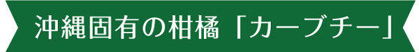 沖縄固有のミカン「カーブチー」