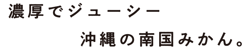 濃厚でジューシー、沖縄の南国みかん