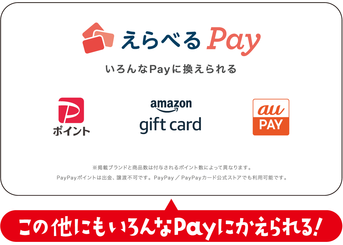 えらべるPay一覧イメージ。このほかにもいろんなPayにかえられる