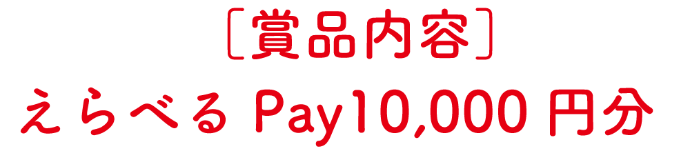 賞品内容：えらべるPay10000円分