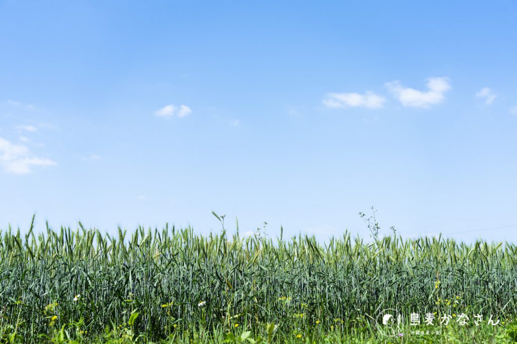 画像に alt 属性が指定されていません。ファイル名: nanjoushi-htake-022-1024x682.jpg