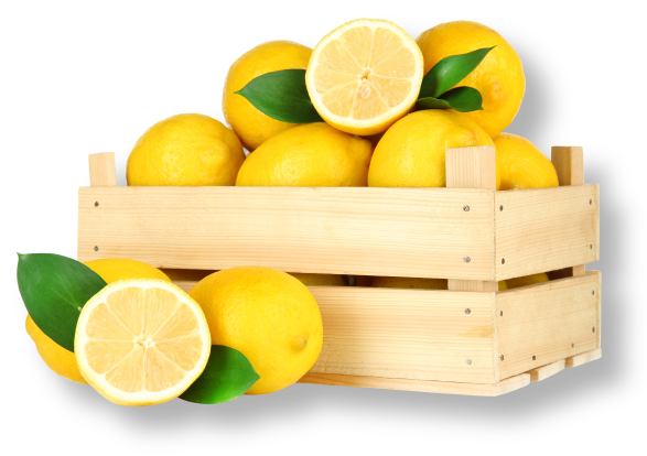 Natura Watta レモンサワー 開発秘話 沖縄産の希少なマイヤーレモンを使ったこだわりのレモンサワー オリオンストーリー