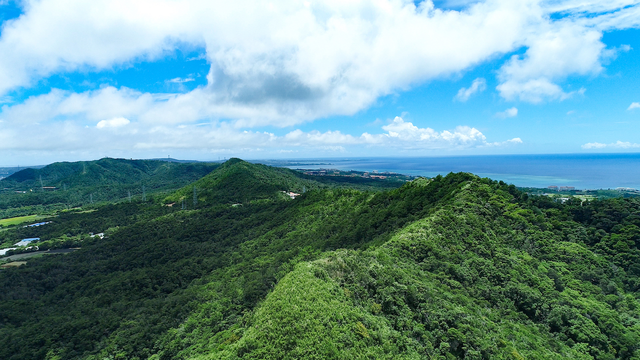 やんばる ってどんなところ 世界遺産登録で注目を集める沖縄本島北部を知ろう オリオンストーリー やんばる ってどんなところ 世界遺産登録で注目を集める沖縄本島北部を知ろう オリオンストーリー