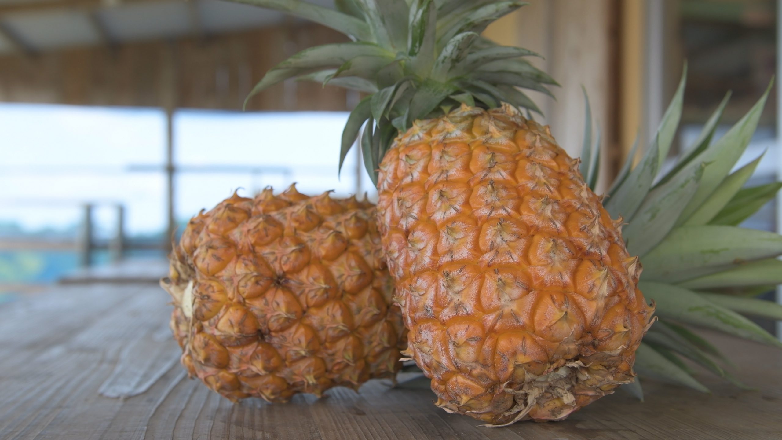 沖縄のパイナップル 国産のほとんどが沖縄産 食べ頃や品種などを紹介 オリオンストーリー