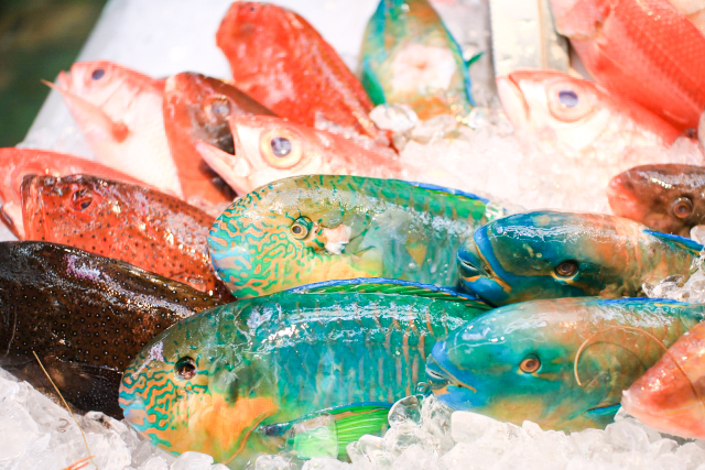 沖縄に来たら食べてほしい 沖縄のおいしい魚 高級魚6選 オリオンストーリー