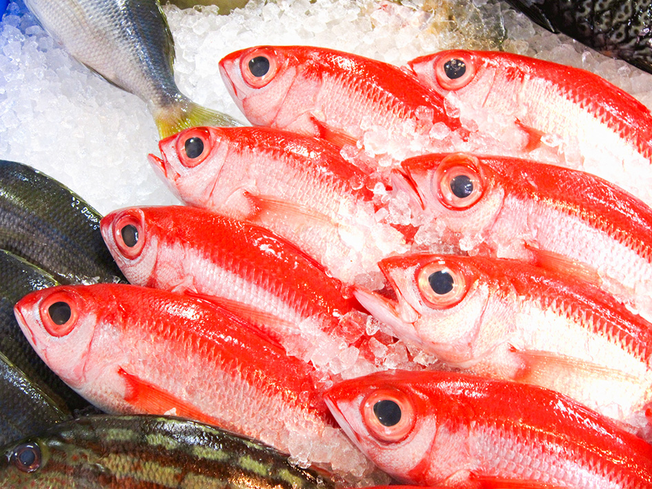 沖縄に来たら食べてほしい 沖縄のおいしい魚 高級魚6選 オリオンストーリー