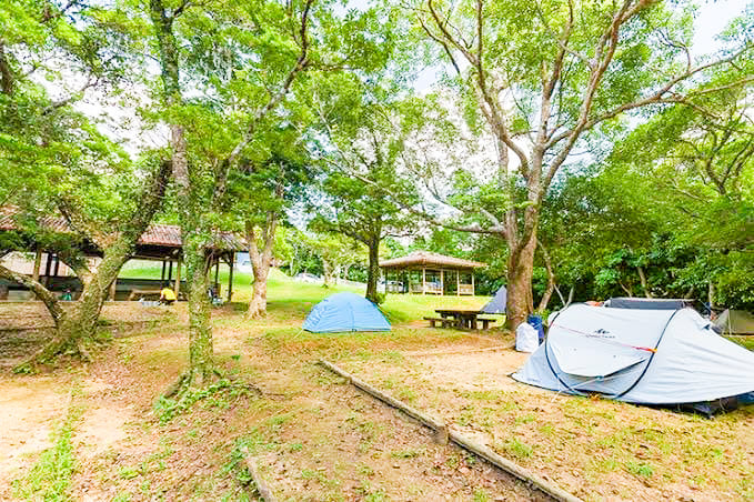 Campsites, 国頭村森林公園【公式】