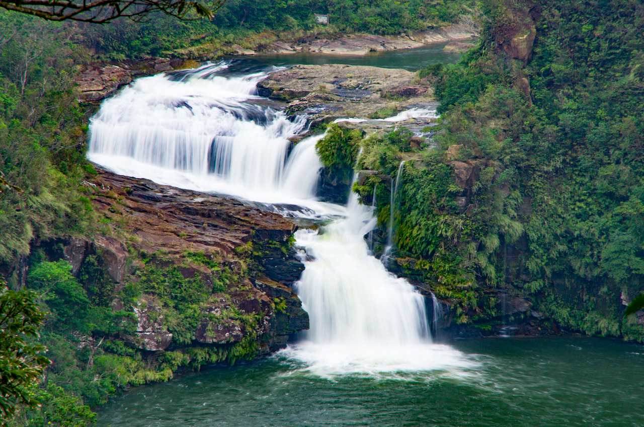 手付かずの自然が残る世界自然遺産の島・西表島｜八重山諸島めぐり