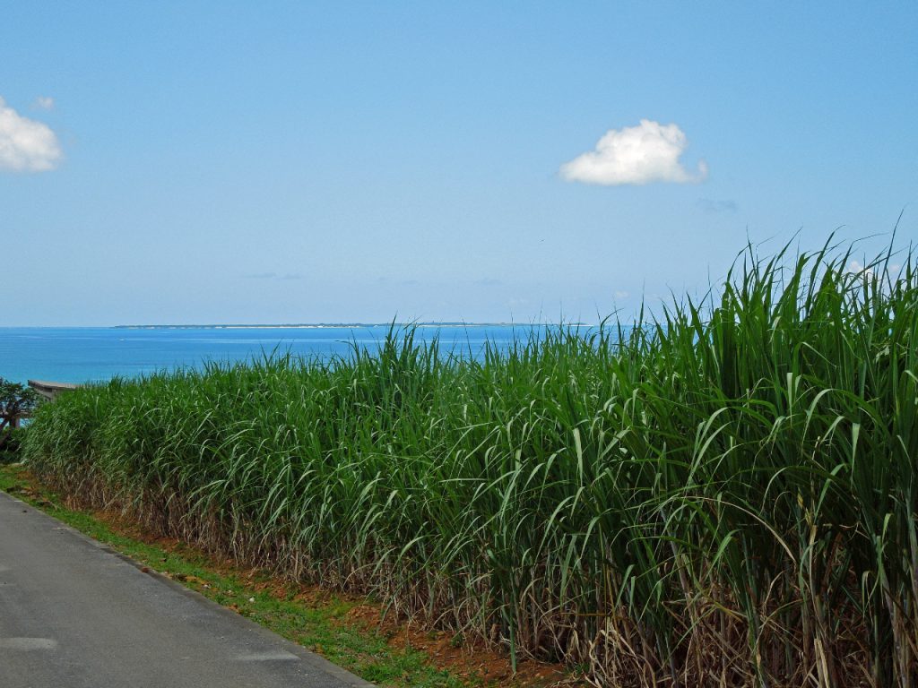 自然の恵みが詰まった 沖縄黒糖 の魅力を再発見 オリオンストーリー