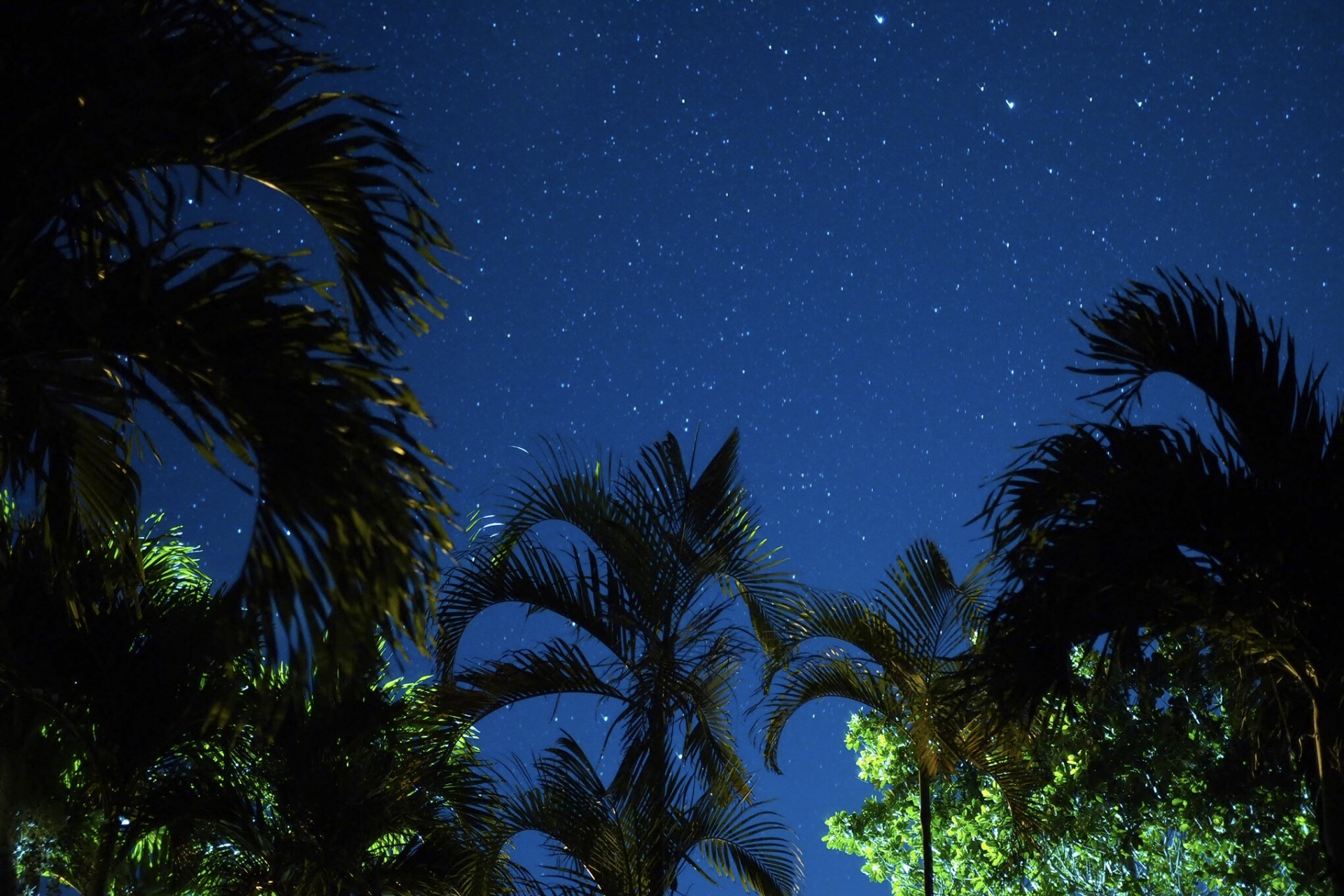 夜空さま 確認用 夜空さま 確認用