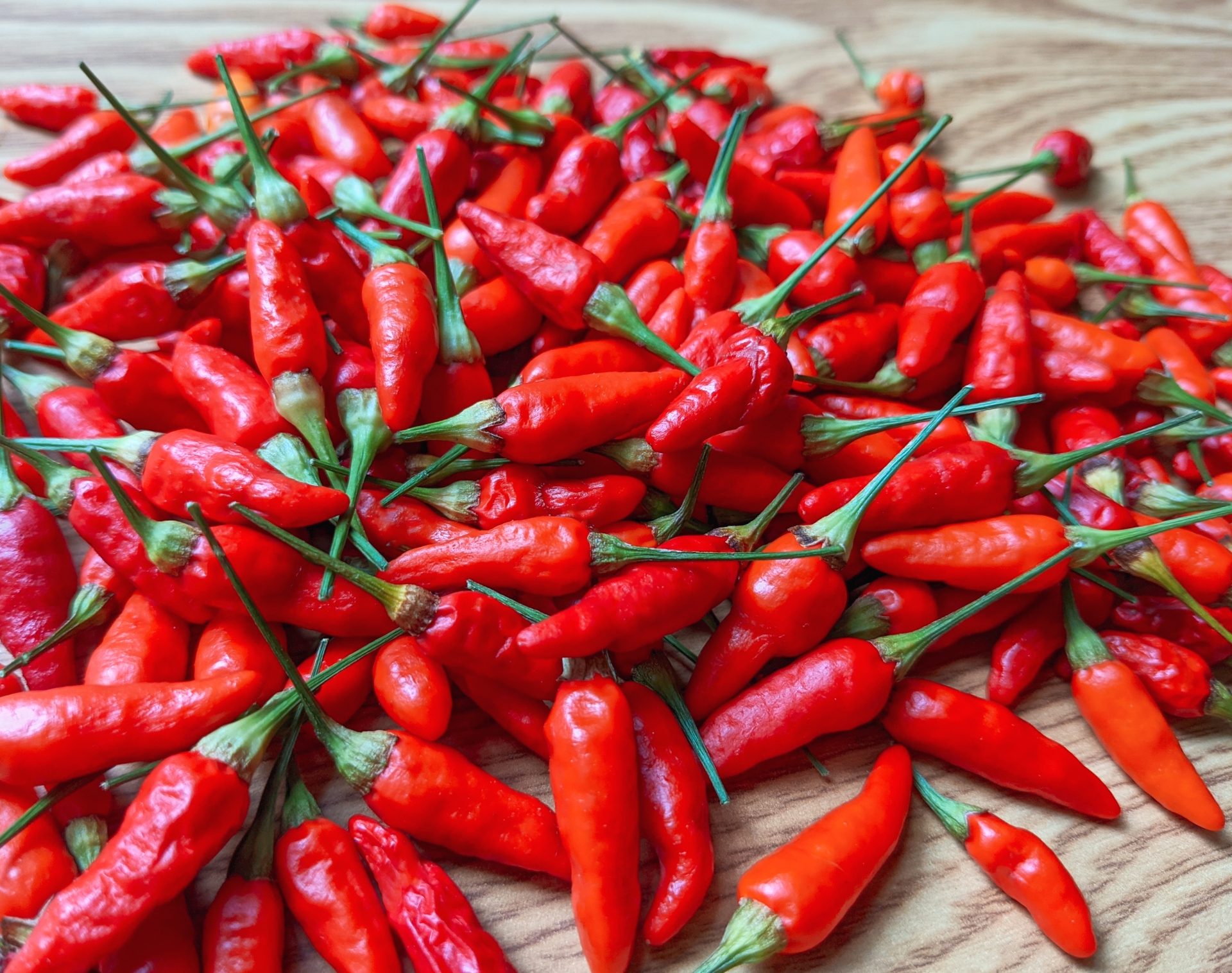 沖縄の伝統野菜！島トウガラシの栽培方法や商品を紹介 – オリオン